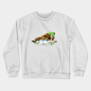 Summer Bear Crewneck Sweatshirt